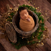 Honey Bucket with Lid | Wooden Decorative | Natural Wood